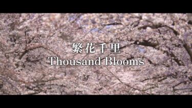 【ステサバ】繁花千里 Thousand Blooms メイキング映像